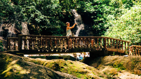 Pasir Ris Nature Walking Tour  in Singapore - c963f8a21615862e198d21799e30b05d