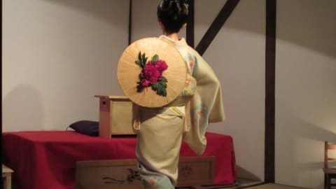 Japanese Tea Ceremony and Japanese Traditional Dances experience in Kyoto - ca27079ffcee808d3b6324d1a67357a9