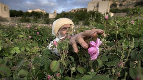 The real Oman: Day trip to the Mountain Villages  in Muscat - ce910aaaa4a8c67bd19a1771002bb176