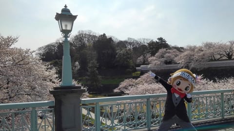 The Ultimate Kanazawa tour in Kanazawa - d0ed3f829d314229a3778e63659f9fc1