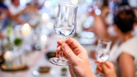 Polish Vodka Tasting Tour in Gdańsk  in Gdask - d7f351dede63c6de664101475d90e3a6