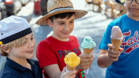 Family Friendly Dubrovnik City Tour in Dubrovnik - dc7c452f54ed0b4df85538236973ebbc