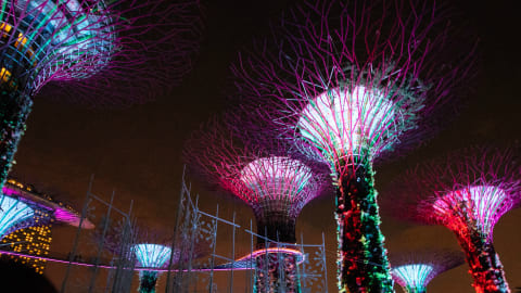 A Magical Evening in Singapore: City Tour in Singapore - dedb6f11cd76b272b570eb4e9fbab8d6