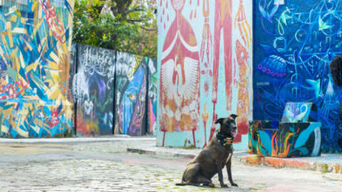 Off the Beaten Track in São Paulo: Vila Madalena Tour in São Paulo - Sao_Paolo_OTBT1.jpg