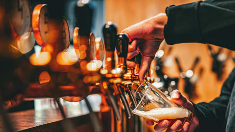 Craft Beers & Bites in San Jose Tour in San Jose - San_Jose_Drinks_Bites.jpg