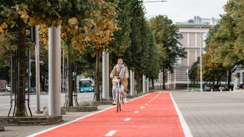 The Beauty of Tallinn by Bike Tour in Tallinn - AdobeStock_467106902.jpg