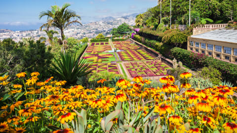 Day Trip: Funchal's Botanical Garden by Cable Car in Funchal - Funchal_Botanical_Gardens_MAIN.jpg