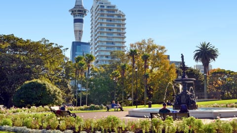 Highlights & Hidden Gems of Auckland in Auckland - AdobeStock_66355294.jpg