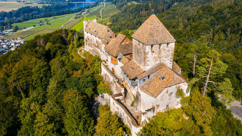 Ultimate VIP Rhine Falls Experience: Day Trip for Up to 5 People in Zürich - Rhine_Falls_Day_Trip_Car_MAIN.jpg