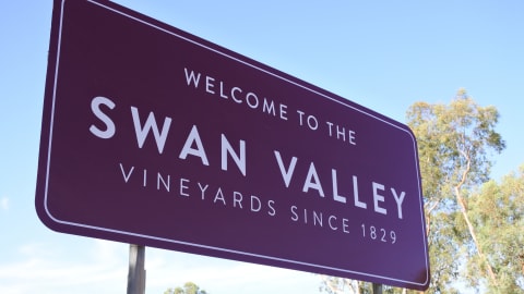 A Taste of Swan Valley: Boutique Wineries & Estate Elegance in Perth - AdobeStock_311840195.jpg