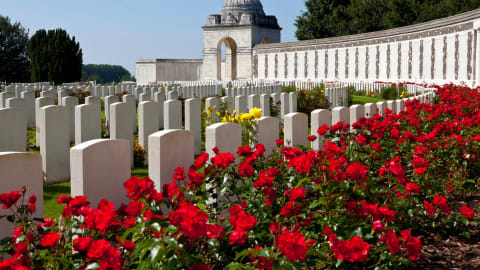 The Ultimate WWl Flanders Fields Day Trip in Brussels - AdobeStock_44181099.jpg