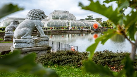 Kew Gardens: Nature’s Royal Showcase in London - AdobeStock_344919959_Editorial_Use_Only.jpg