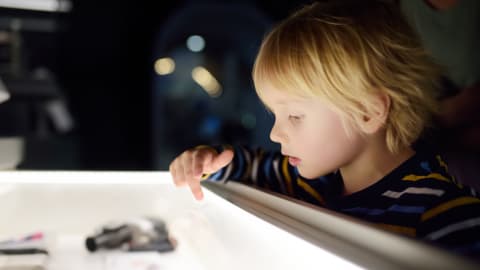 Mini Masters: A National Gallery Adventure for Kids in London - AdobeStock_272626358.jpg
