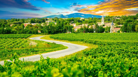 Withlocals Your Way! : Day Trip from Dijon in Dijon - Dijon_WLYW_Trip_Burgundy_MAIN.jpg