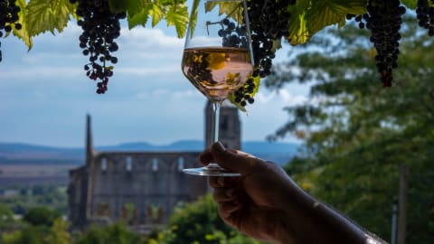 Countryside Half-Day Wine Tour to Etyek with Lunch in Budapest - Day_Trip_Etyek1.jpg