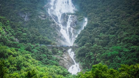 Withlocals Your Way! : Discover the Wonders of Goa State by Car in Goa - Goa_WLYW_outside_city2.jpg