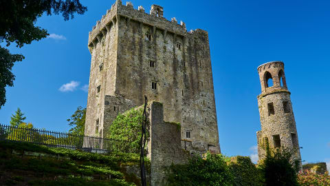 City Escape: Blarney Castle & Kinsale Day Trip in Cork - Cork_Day_Trip5.jpg
