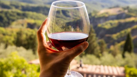 Gastronomical Adventure: Barolo, Alba  & Grinzane Cavour Castle  in Milan - Milan_Day_Trip_Barolo1.jpg