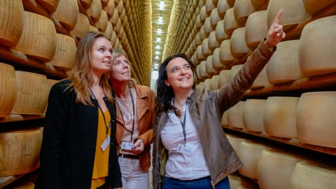 Gastronomic Modena Adventure: Balsamic, Parmigiano & Flavors  in Bologna - Day_Trip_Food3.jpg