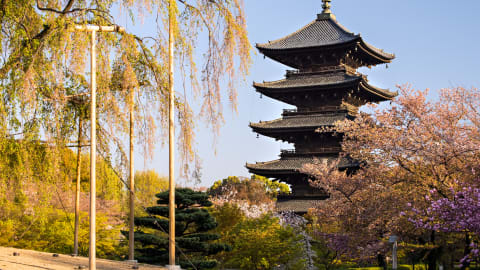 Withlocals Your Way! - Nara City Tour in Nara - Nara_Your_Way3.jpg