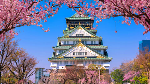Osaka's Majestic Past: A Journey Through Time at the Historic Castle in Osaka - AdobeStock_315839366.jpg