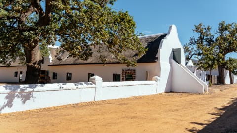 Vineyard Voyage: Unveiling Wine Delights of Stellenbosch in Cape Town - Cape_Town_wine_day_trip6.jpg