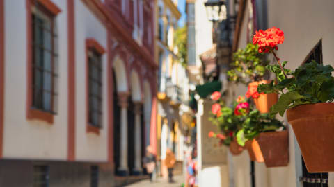 Exploring Seville Jewish Heritage – Tapas Included in Seville - Seville_Jewish_Tour.jpg