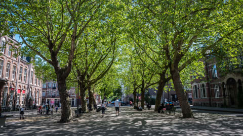 East Side Stories: A Walking Tour of Amsterdam’s Hidden Side in Amsterdam - AdobeStock_354112269.jpg