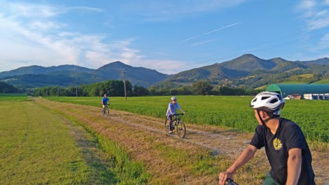 Tuscan Countryside Bike Tour & Saffron Tasting in Florence - df3b1b981656d6c2ba91a5d84c9accee