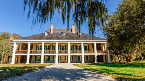 The Ultimate historical plantation Day Trip in New Orleans - df77df30d5a11bcaf89ac1a1848daf8a