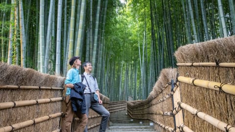 City Escape:  Day Trip Arashiyama & Bamboo Grove in Kyoto - e05261f92f36b8069fa4b4b60843ca20