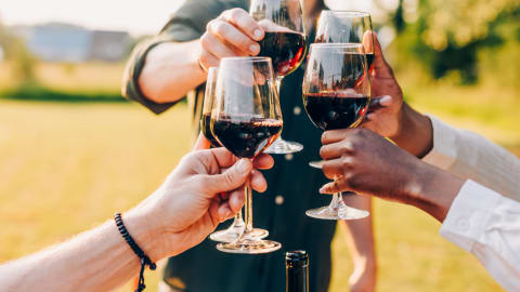 Hidden Hills & Wine: A Private Vineyard Escape from Milan in Milan - e1b6b124521e30c5e2f638ae918e3690