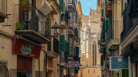 Withlocals Your Way! - Palma de Mallorca 100% Personalized City Tour in Palma de Mallorca - e27ac1529feb5c7dcc67f6050ccdbe2f