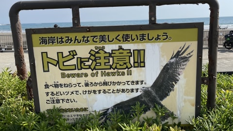Kamakura Highlights: Half-Day Adventure in Yokohama - e6275a57a17eb8a283454b44e3021692