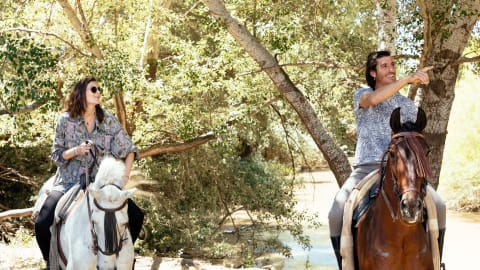 La Algaba Horse Buggy or Horseback Riding Countryside  in La Algaba - e66777322c87544f548b3c8872065dd4
