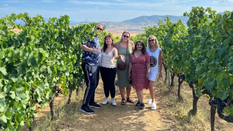 Full Day Wineries Tour from Istanbul through 3 Vineyards in stanbul - e7495a85d45efeba792f4cf8912c8150