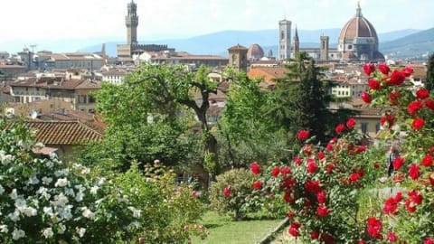 Trek & Taste Florence: An Off-the-Path Urban-trekking & Food Experience in Florence - ef57d7f7c0fb45c58765cfeafd30be4c