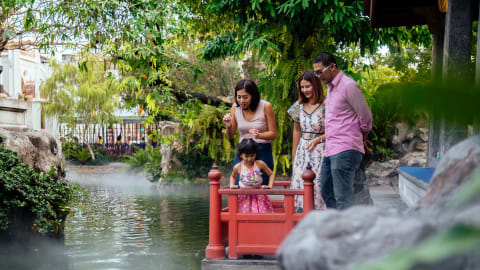 Family Friendly Bangkok City Tour in Bangkok - f1b9b311c3dfb2ae6b737552e1b0c565