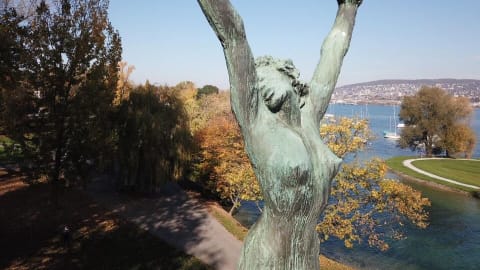 Explore Zurich & Lucerne in a Day: City Pulse to Alpine Beauty in Zrich - fab803907e8095f41a3c8104bbbed140