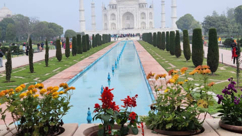 Taj Mahal and Agra Fort Expedition: Delhi to Agra in 12 Hours in Agra - fbd7a5375d52c2f2ee3babbe641b9893