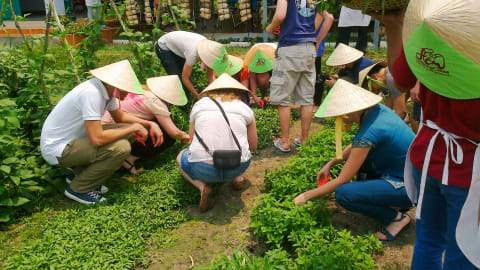 Healthy Cooking Class at Local Farm in Ho Chi Minh City - nuj0yrku6pruq5ob5en3