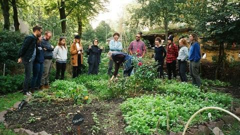 Green Gears: Amsterdam’s Urban Farming Cycle Tour in Amsterdam - 51649708194_b189298bba_o.jpg