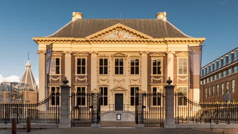 Explore the Mauritshuis with a Local Guide in The Hague - The_Hague_Mauritshuis.jpg
