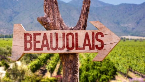 City Escape: Beaujolais Day Trip in Lyon - Lyon_Beaujolais3
