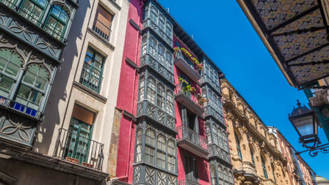 Exclusive Highlights & Hidden Gems of Bilbao with a Local Licensed Guide in Bilbao - Bilbao_HHG3