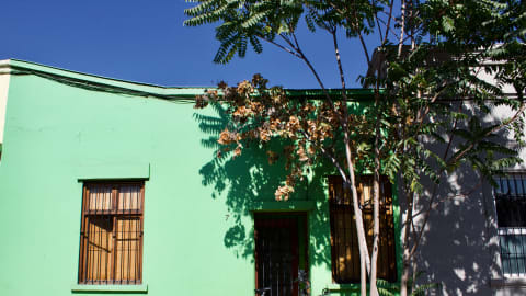 Off the Beaten Track in Santiago: Barrio Bellavista Tour in Santiago - Santiago_OTBT2