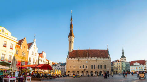 Highlights & Hidden Gems of Tallinn in Tallinn - AdobeStock_109665631