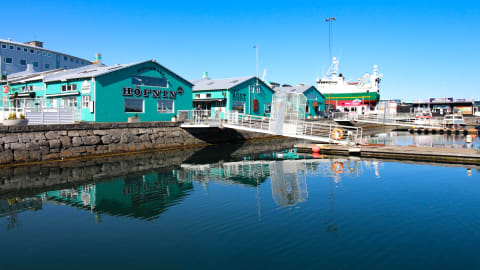 Highlights & Hidden Gems of Reykjavik in Reykjavik - AdobeStock_311511392_Editorial_Use_Only