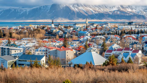 Withlocals Your Way! - Reykjavik City Tour in Reykjavik - AdobeStock_241732121