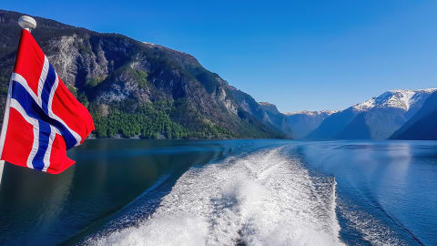 Full Coverage Bergen City Tour in Bergen - Bergen_Sognjefjord